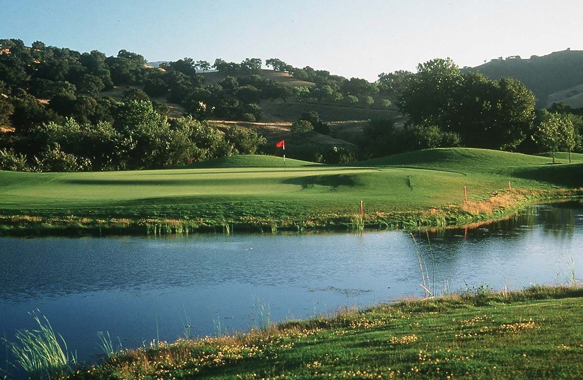 flag sticking out of the golf course hole