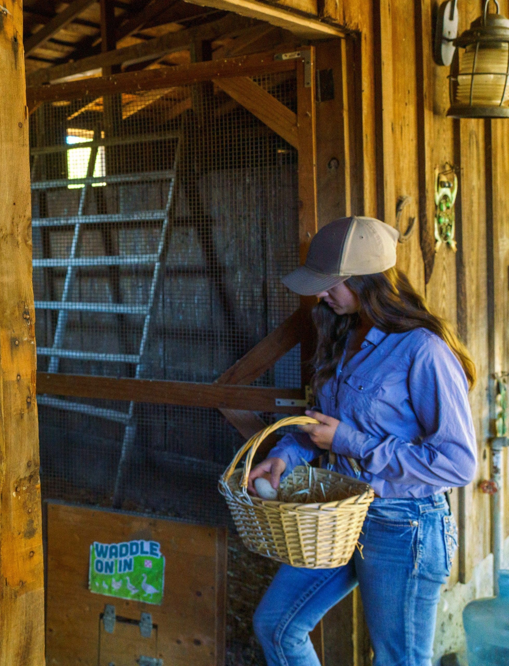 person putting egg into a basket