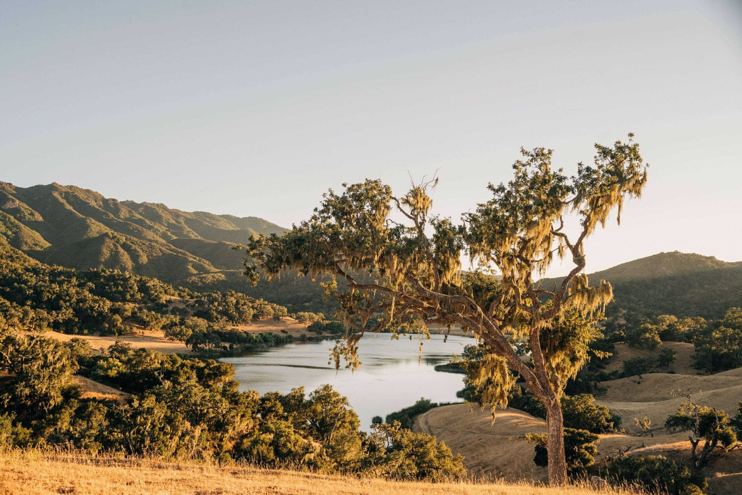 view of the creek and hills