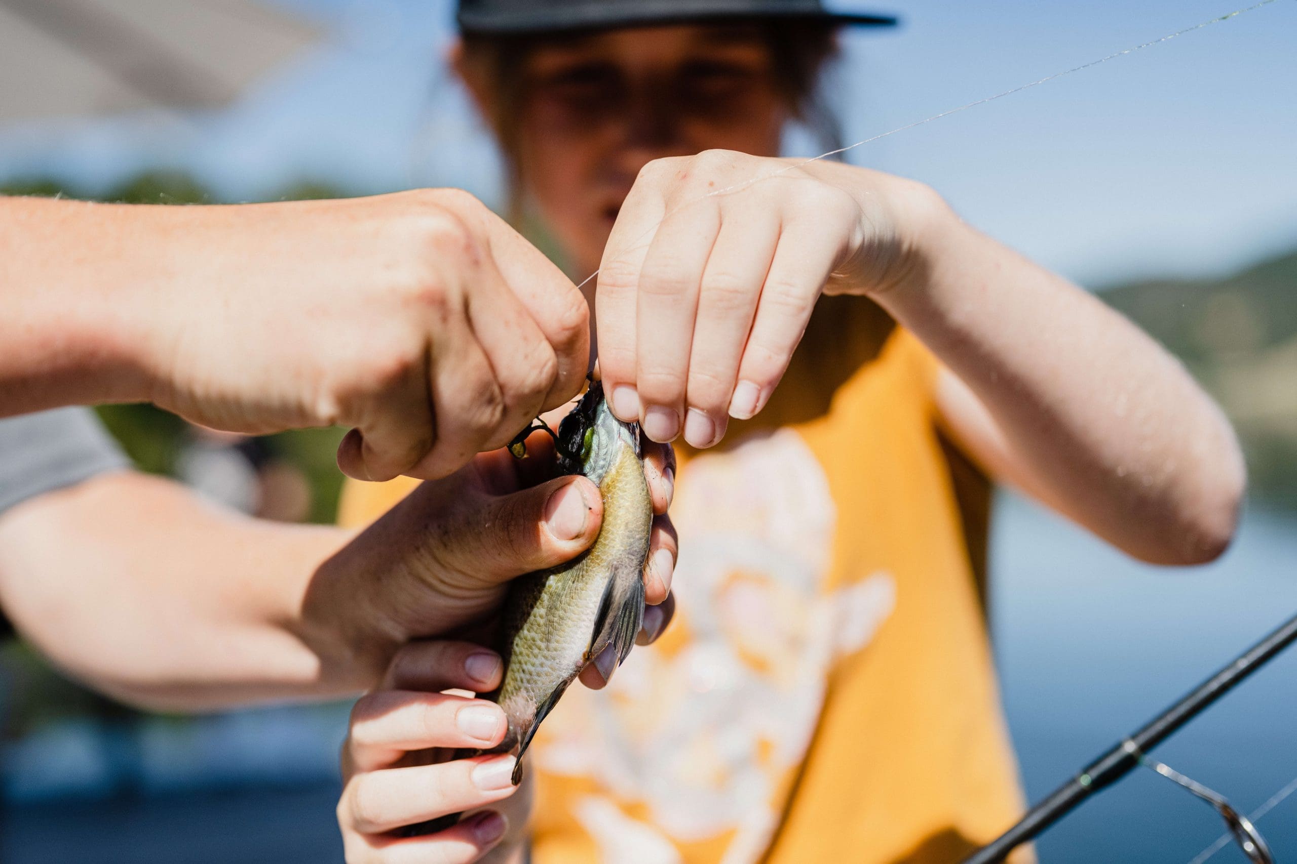 two people unhooking a fish from the line