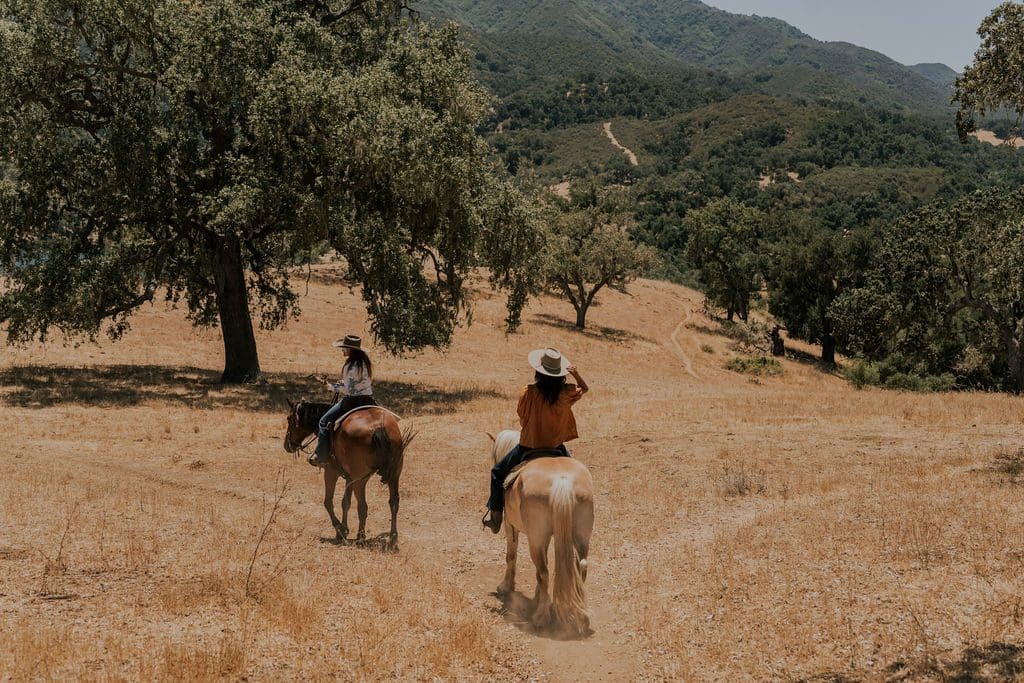 two people on their horses riding