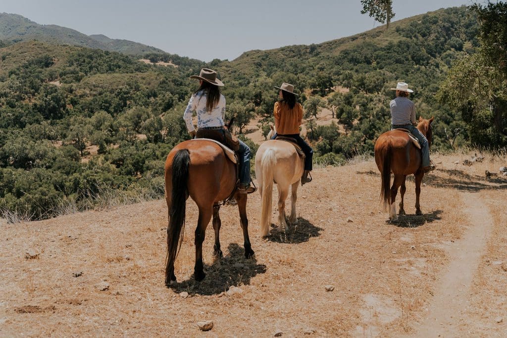 people riding horses on a hill