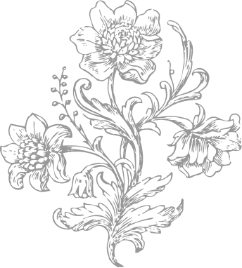 flower illustration
