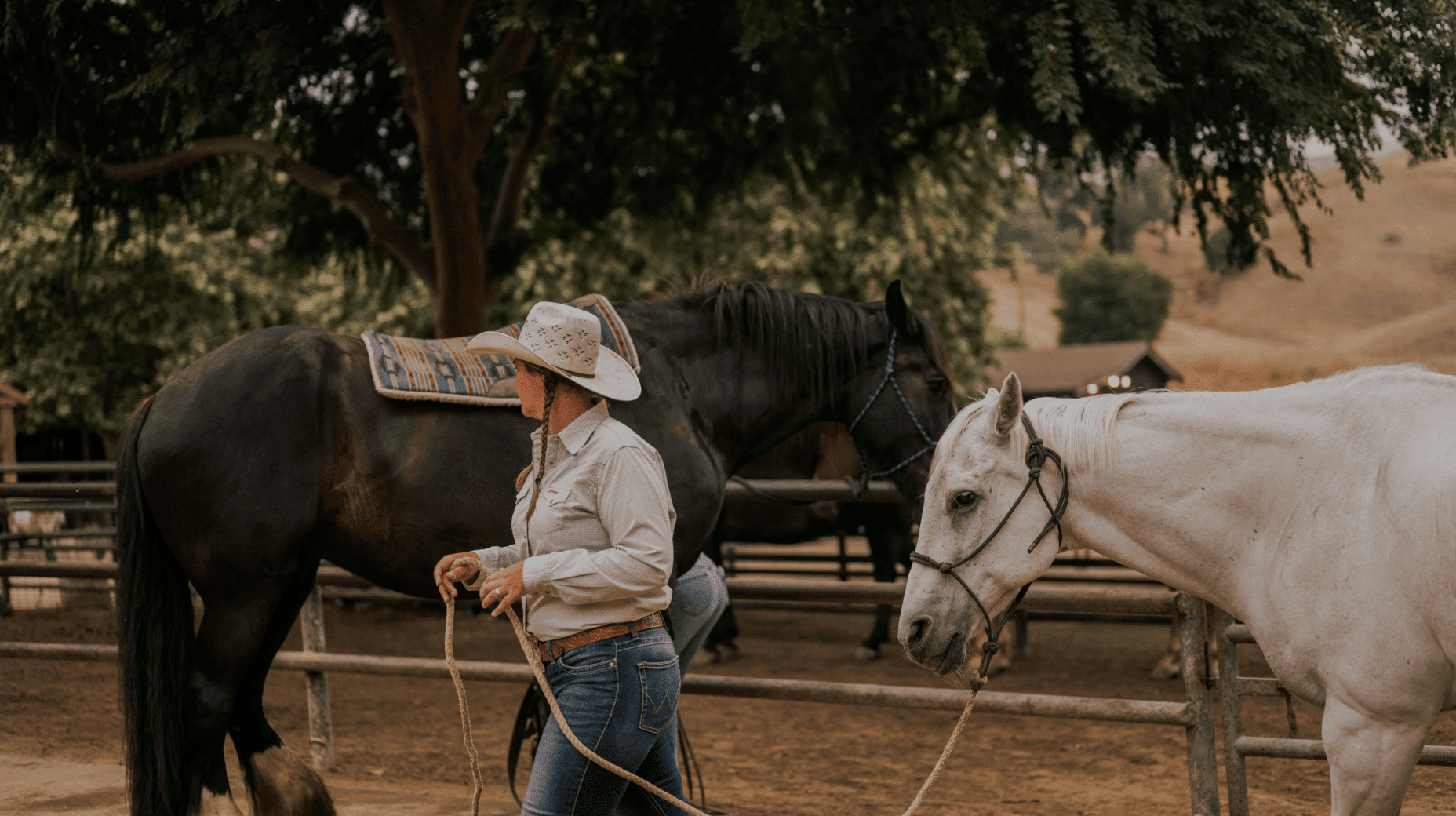 person walking while holding the reigns of a horse