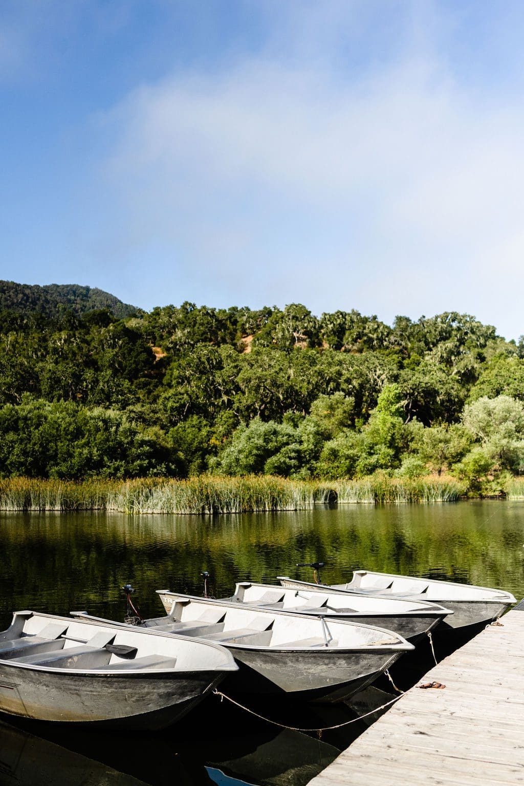 boats along the dock