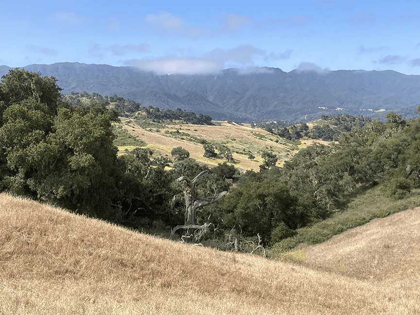 Deer Canyon on Alisal Ranch