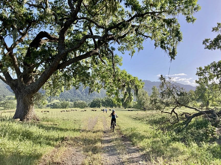 Girl riding e-bike on Alisal Ranch