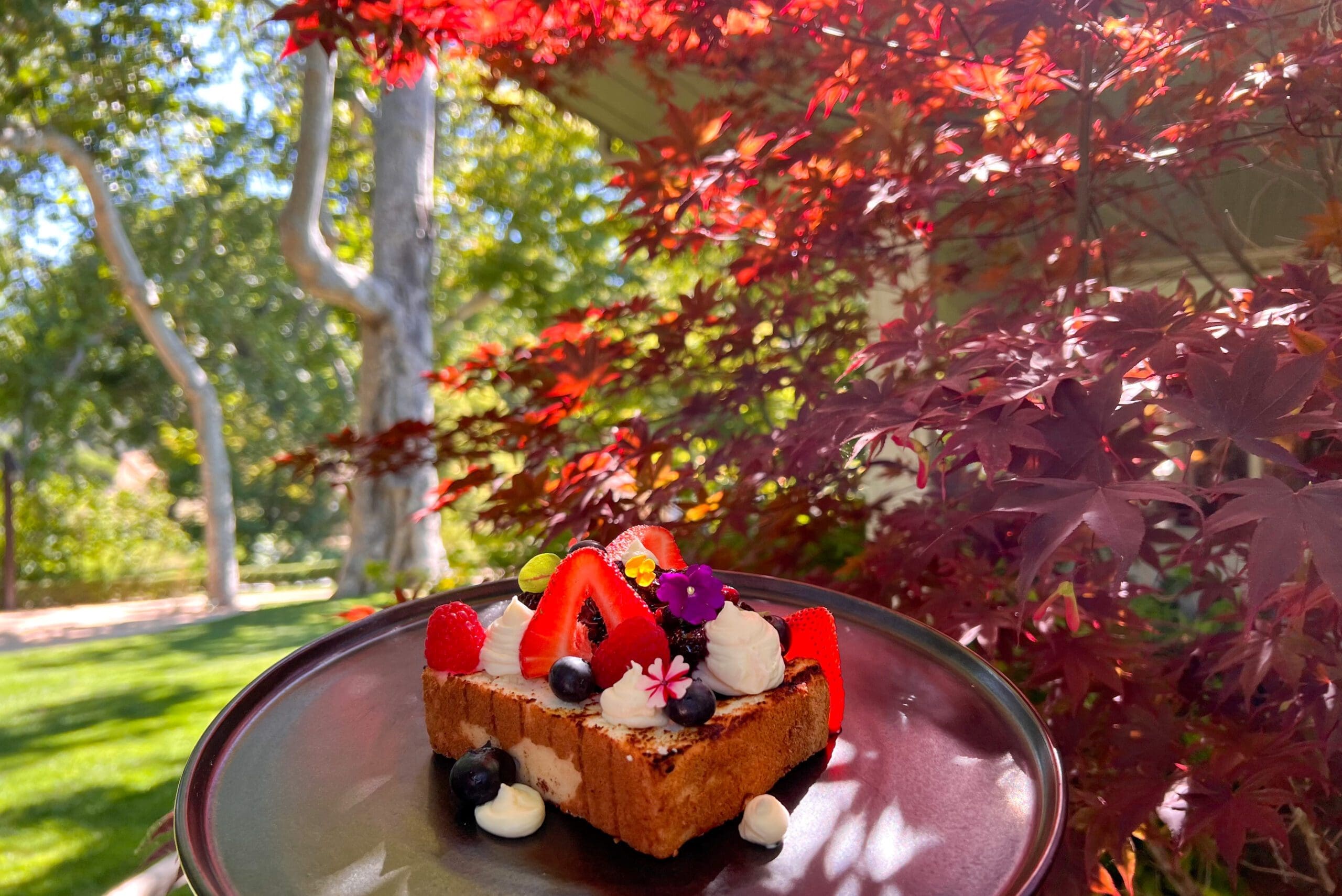 a plate of fruity desert in front of maple and other trees